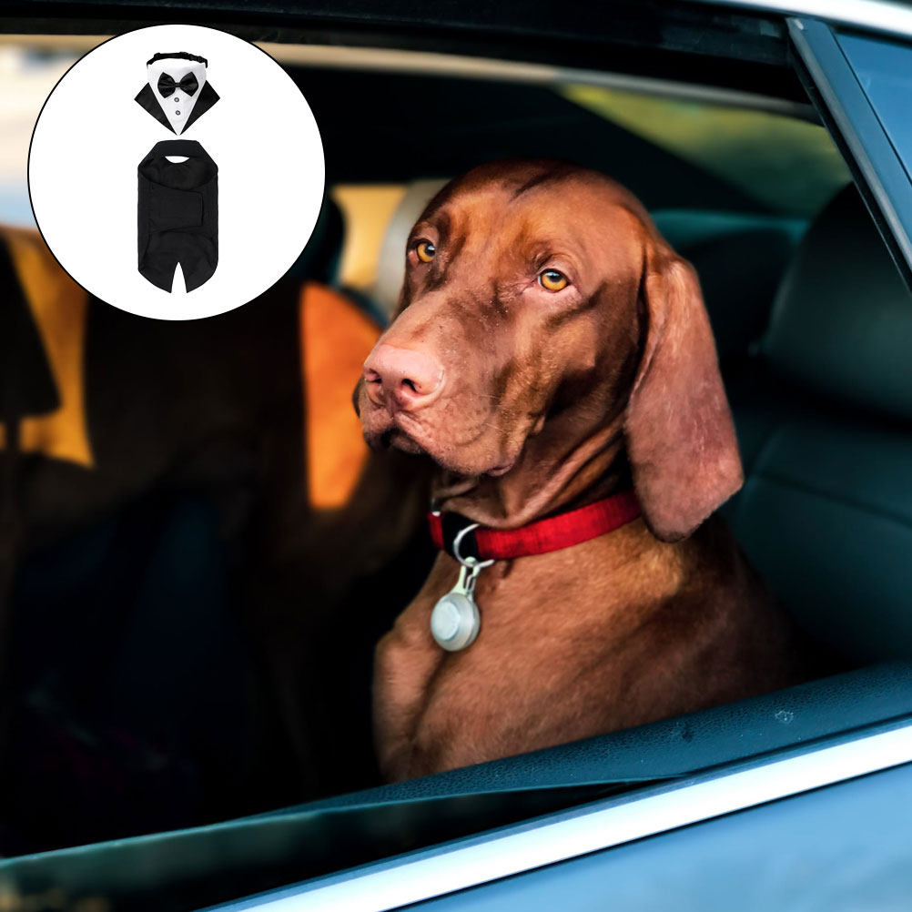1 Set Completo per Cani con Ba - Suitsupply Wedding Tuxedo recensione e prezzo